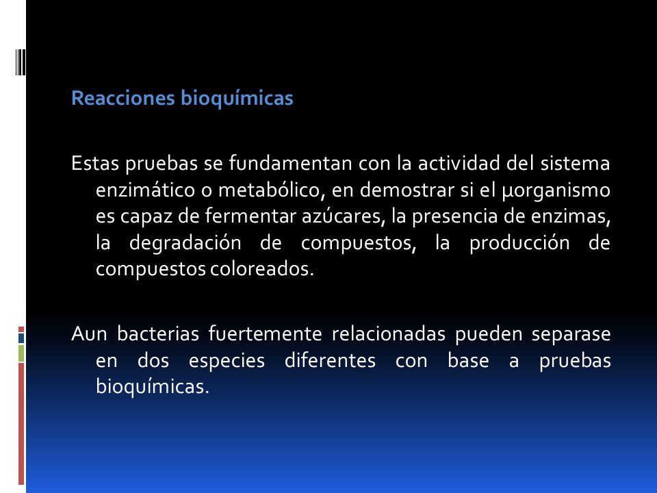 Reacciones bioquímicas Estas pruebas se fundamentan con la actividad del sistema enzimático o metabólico, en demostrar si el µorganismo es capaz de fermentar azúcares, la presencia de enzimas, la degradación de compuestos, la producción de compuestos coloreados.
