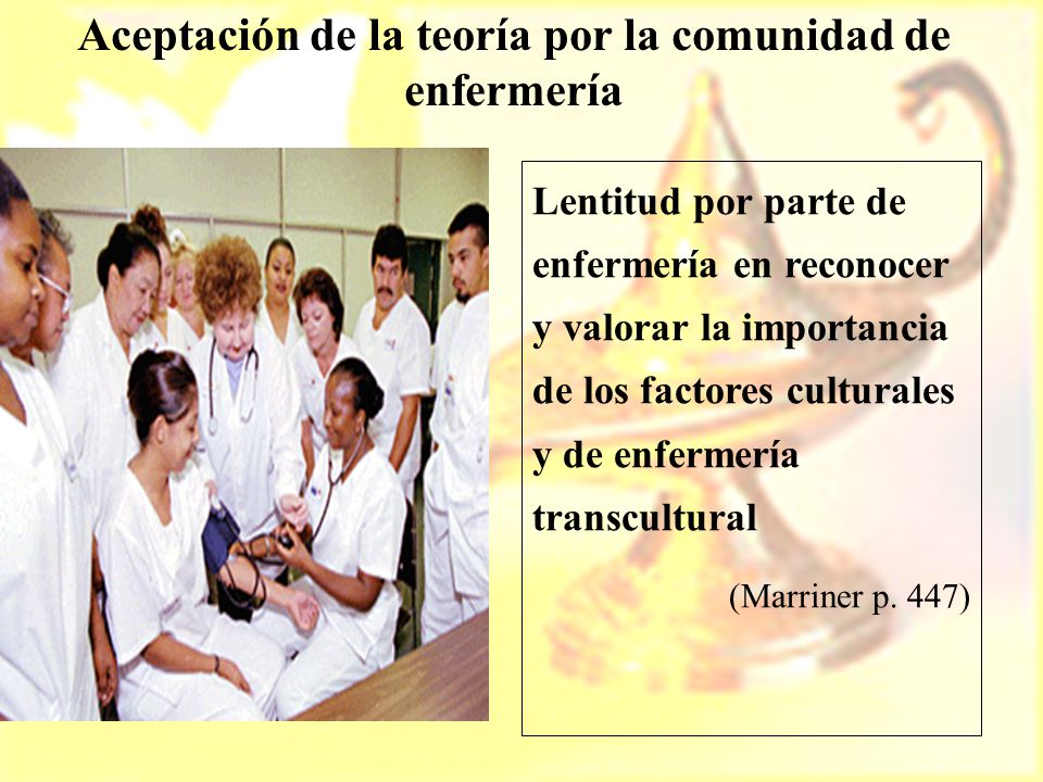 Aceptación de la teoría por la comunidad de enfermería