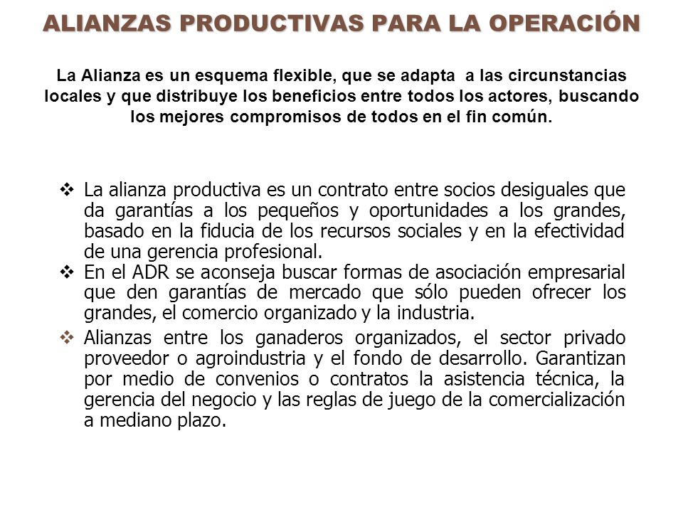 ALIANZAS PRODUCTIVAS PARA LA OPERACIÓN La Alianza es un esquema flexible, que se adapta a las circunstancias locales y que distribuye los beneficios entre todos los actores, buscando los mejores compromisos de todos en el fin común.
