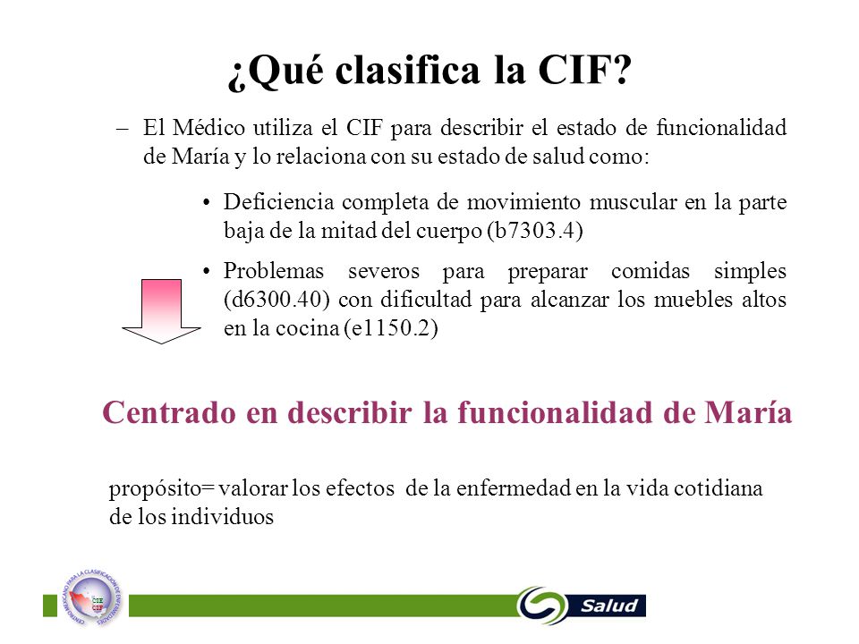 ¿Qué clasifica la CIF Centrado en describir la funcionalidad de María