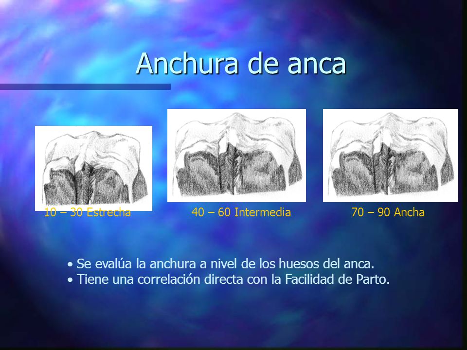 Anchura de anca Se evalúa la anchura a nivel de los huesos del anca.