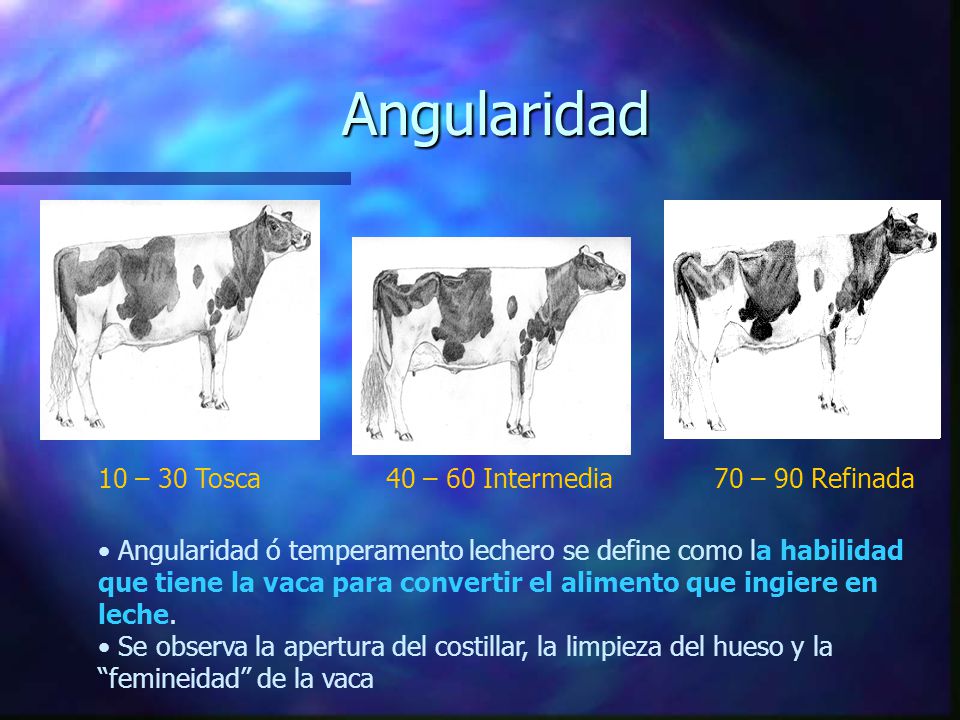 Angularidad 10 – 30 Tosca 40 – 60 Intermedia 70 – 90 Refinada
