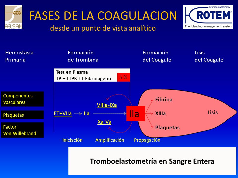 FASES DE LA COAGULACION desde un punto de vista analítico