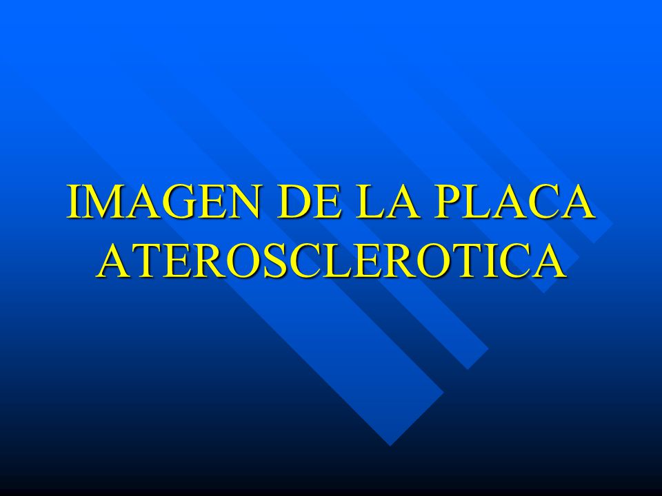 IMAGEN DE LA PLACA ATEROSCLEROTICA