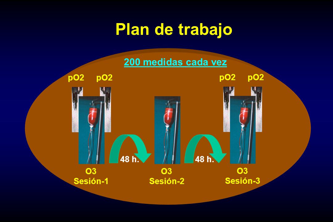 Plan de trabajo 200 medidas cada vez O3 Sesión-2 48 h. Sesión-1 pO2