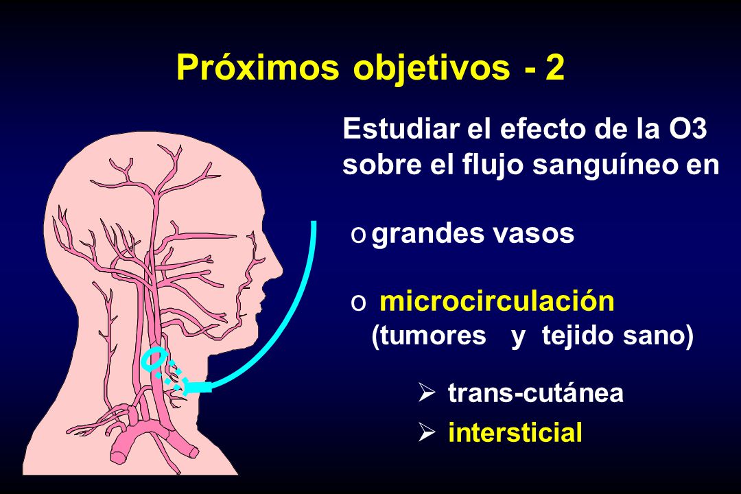 Próximos objetivos - 2 Estudiar el efecto de la O3 sobre el flujo sanguíneo en. grandes vasos. microcirculación (tumores y tejido sano)