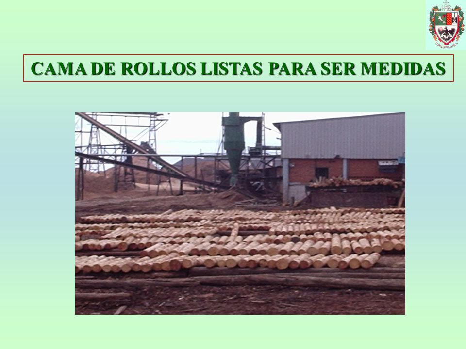 CAMA DE ROLLOS LISTAS PARA SER MEDIDAS