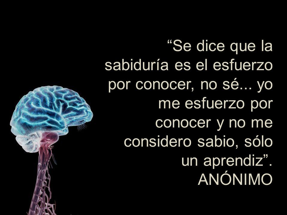 Se dice que la sabiduría es el esfuerzo por conocer, no sé