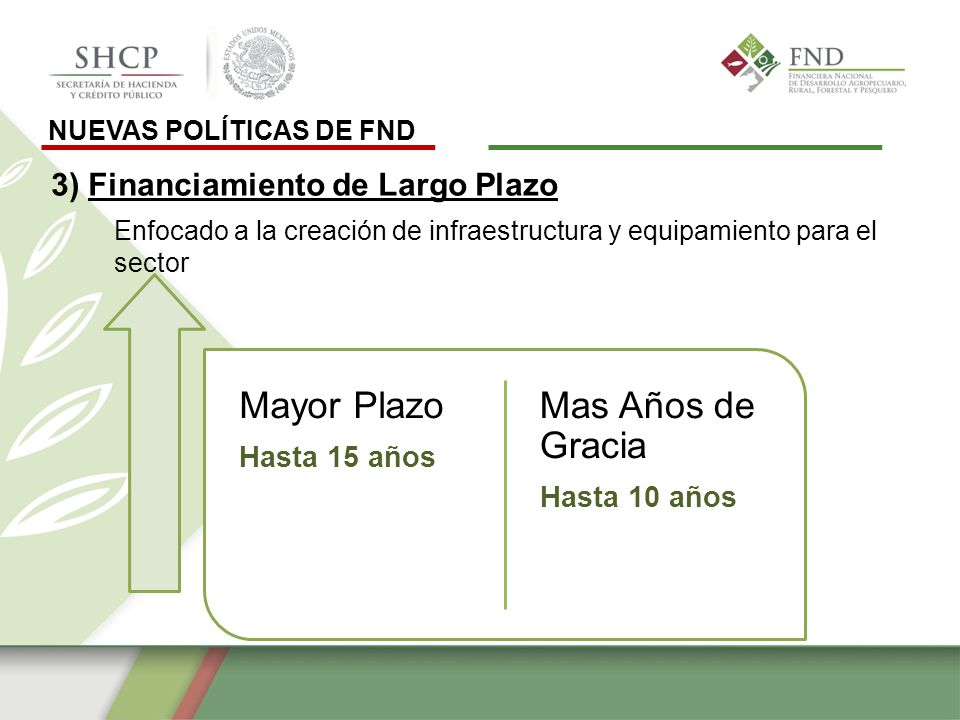 Mayor Plazo Mas Años de Gracia 3) Financiamiento de Largo Plazo