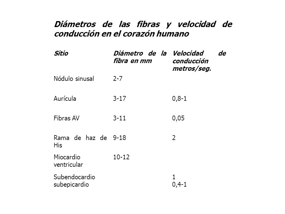Diámetros de las fibras y velocidad de conducción en el corazón humano