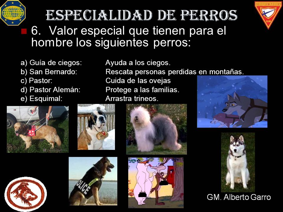 6. Valor especial que tienen para el hombre los siguientes perros: