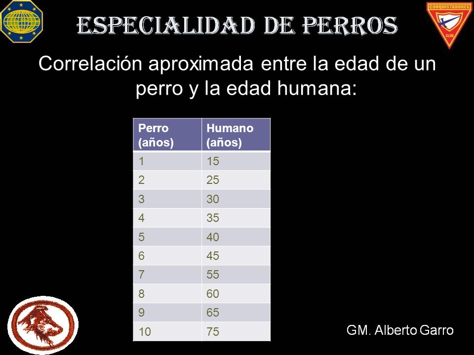 Correlación aproximada entre la edad de un perro y la edad humana:
