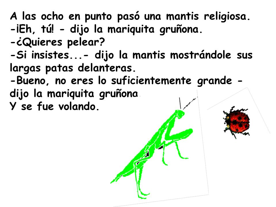 A las ocho en punto pasó una mantis religiosa. -¡Eh, tú