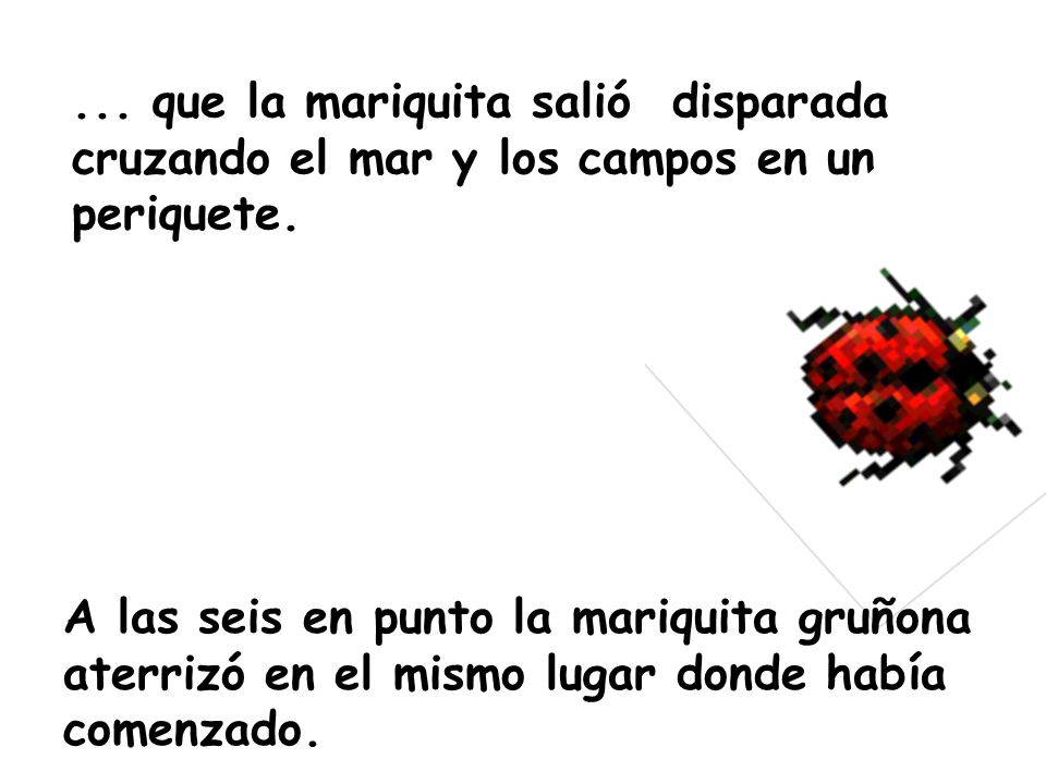 ... que la mariquita salió disparada cruzando el mar y los campos en un periquete.