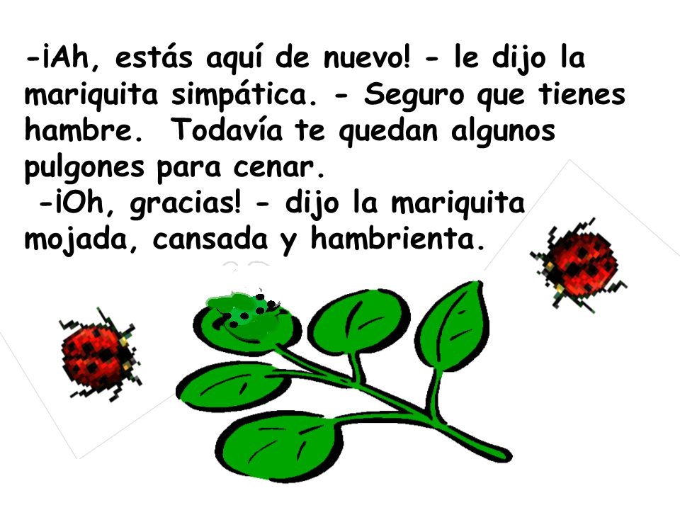 -¡Ah, estás aquí de nuevo. - le dijo la mariquita simpática