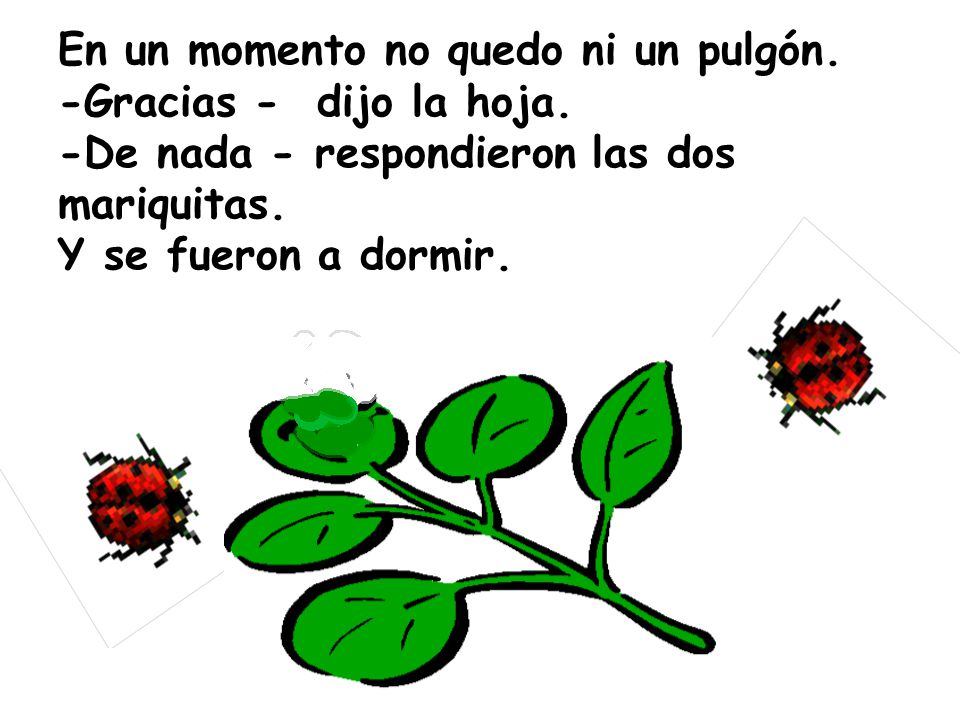 En un momento no quedo ni un pulgón. -Gracias - dijo la hoja
