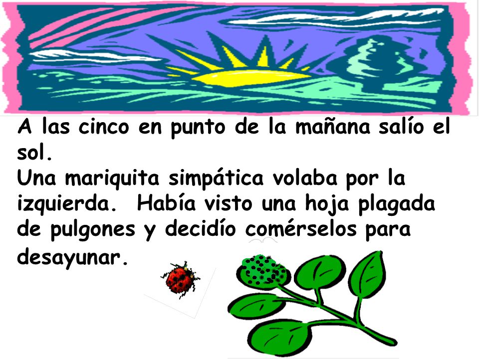 A las cinco en punto de la mañana salío el sol