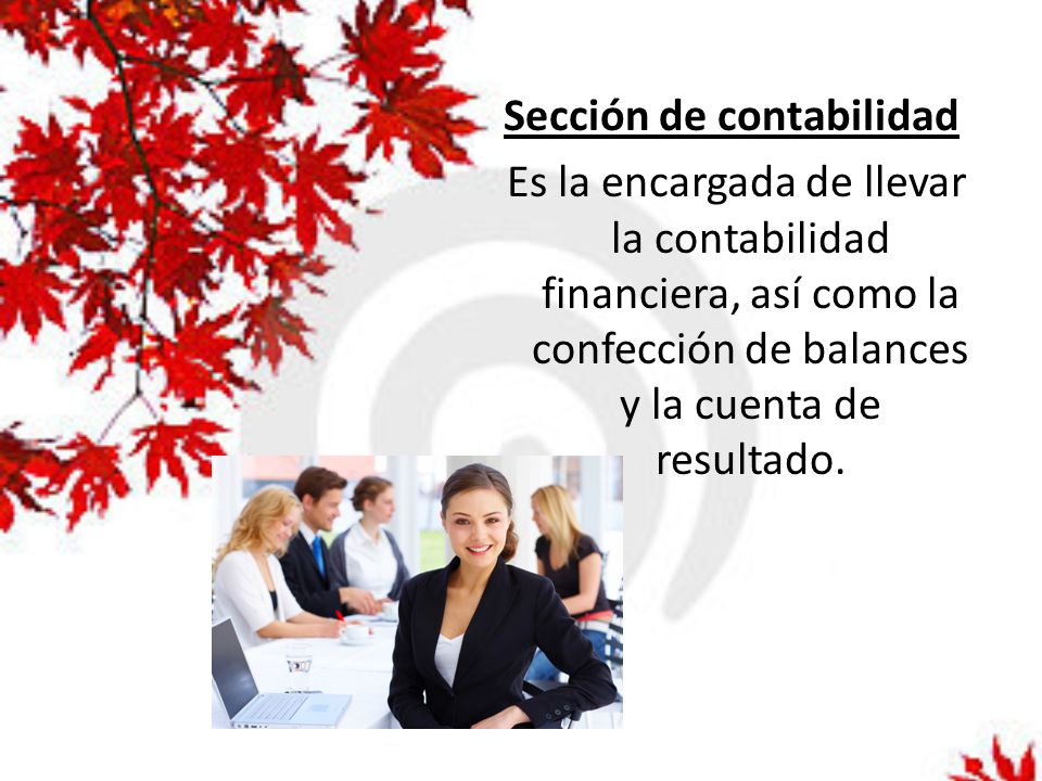 Sección de contabilidad Es la encargada de llevar la contabilidad financiera, así como la confección de balances y la cuenta de resultado.
