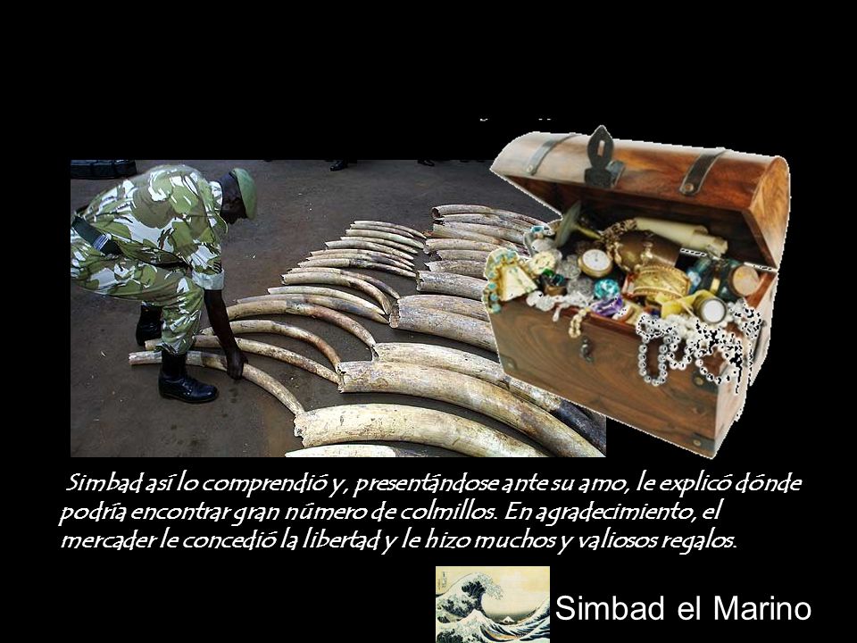 Simbad así lo comprendió y, presentándose ante su amo, le explicó dónde podría encontrar gran número de colmillos. En agradecimiento, el mercader le concedió la libertad y le hizo muchos y valiosos regalos.