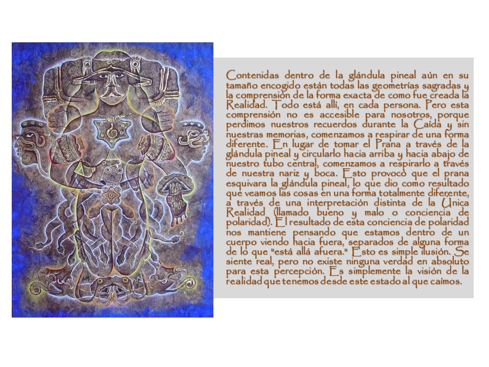 Contenidas dentro de la glándula pineal aún en su tamaño encogido están todas las geometrías sagradas y la comprensión de la forma exacta de como fue creada la Realidad.