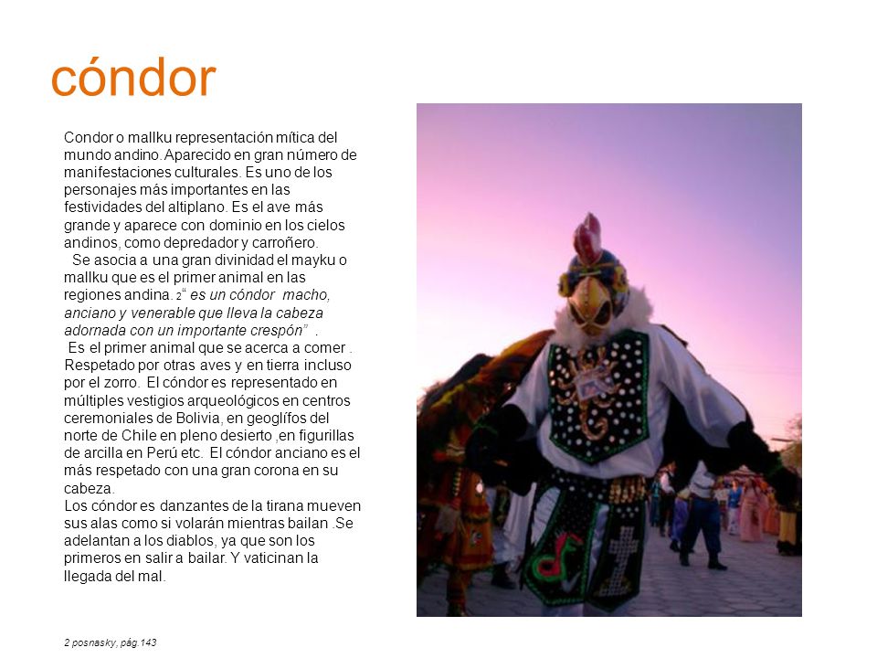 cóndor