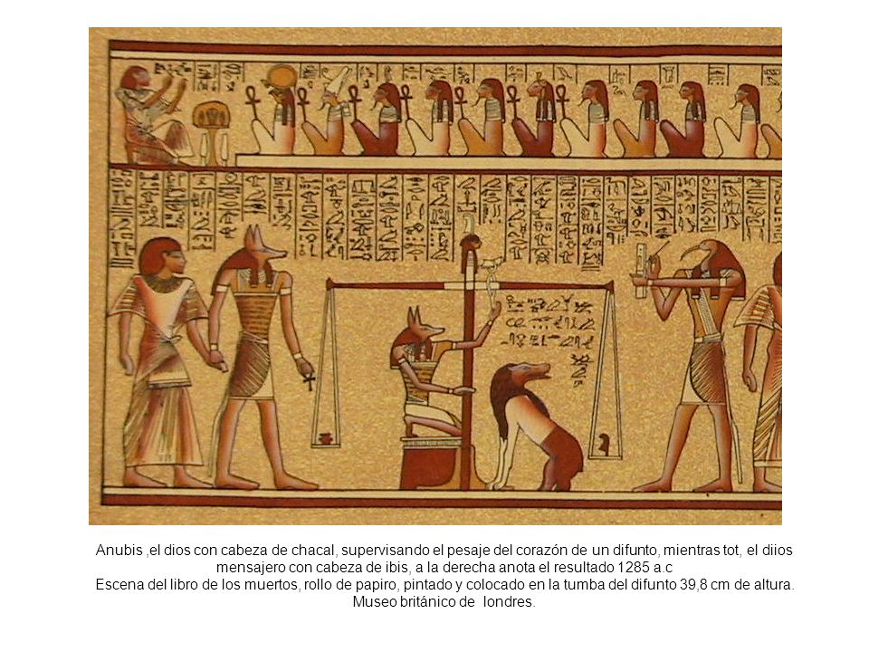 Anubis ,el dios con cabeza de chacal, supervisando el pesaje del corazón de un difunto, mientras tot, el diios mensajero con cabeza de ibis, a la derecha anota el resultado 1285 a.c Escena del libro de los muertos, rollo de papiro, pintado y colocado en la tumba del difunto 39,8 cm de altura.