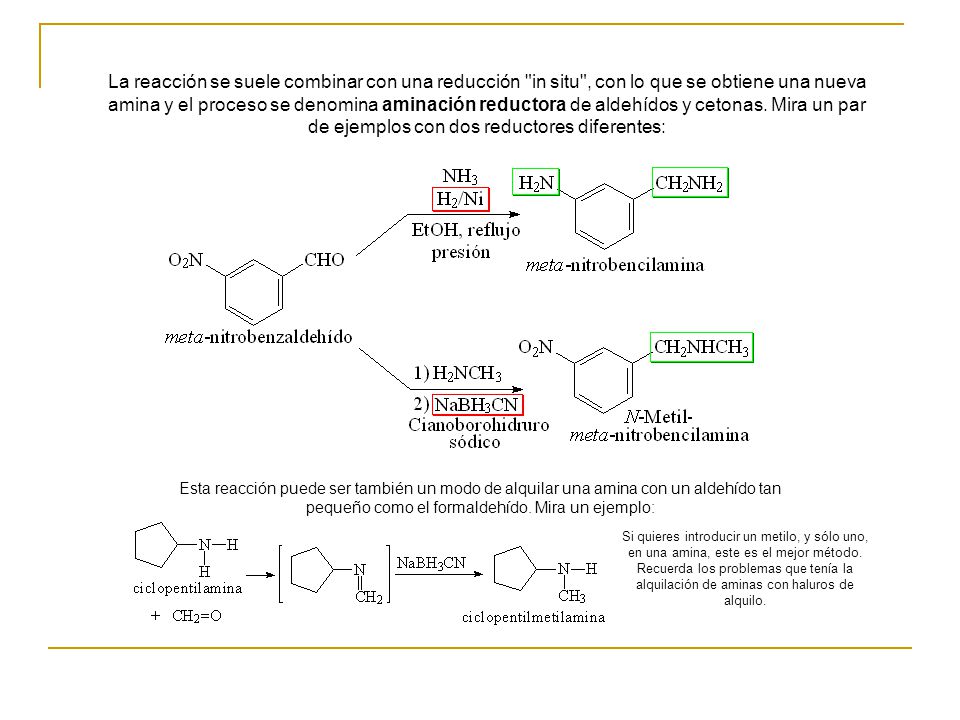 La reacción se suele combinar con una reducción in situ , con lo que se obtiene una nueva amina y el proceso se denomina aminación reductora de aldehídos y cetonas. Mira un par de ejemplos con dos reductores diferentes:
