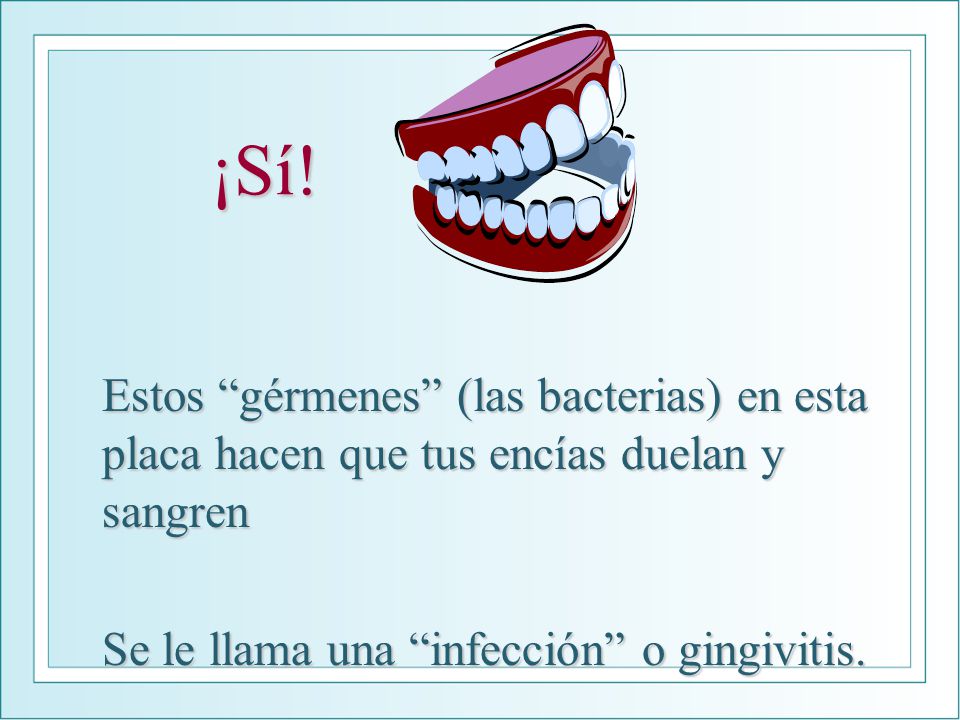 ¡Sí. Estos gérmenes (las bacterias) en esta placa hacen que tus encías duelan y sangren.