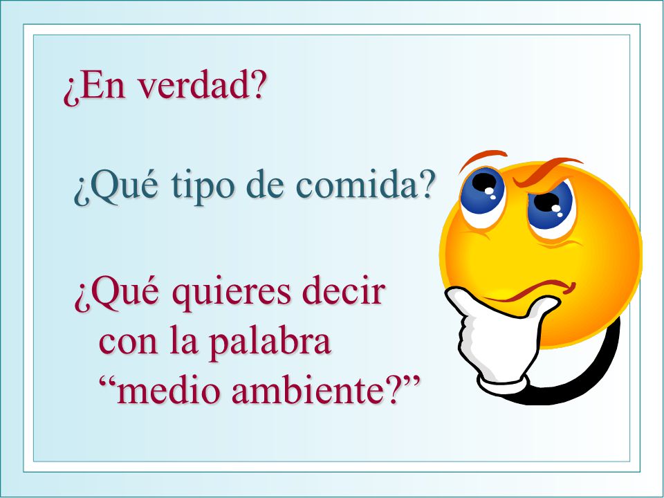 ¿En verdad ¿Qué tipo de comida