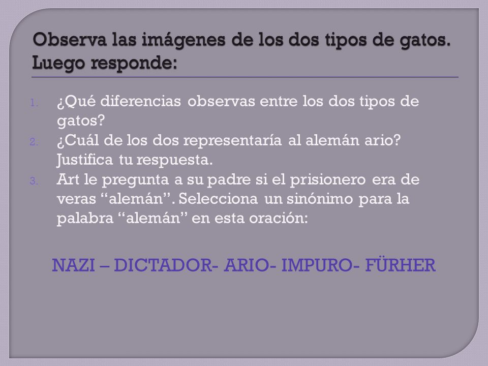Observa las imágenes de los dos tipos de gatos. Luego responde: