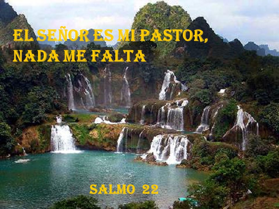 El Señor es mi Pastor, nada me falta Salmo 22