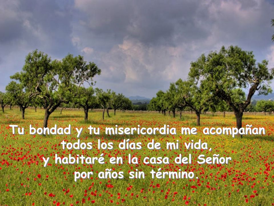 Tu bondad y tu misericordia me acompañan todos los días de mi vida, y habitaré en la casa del Señor por años sin término.