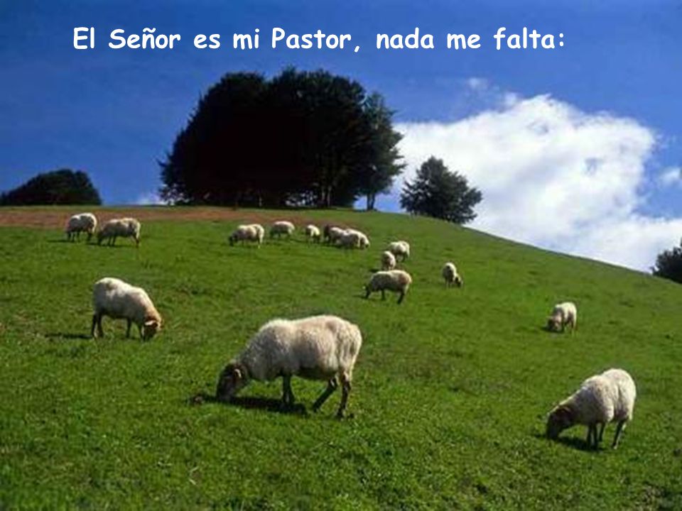 El Señor es mi Pastor, nada me falta: