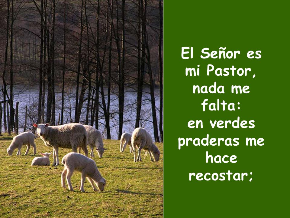El Señor es mi Pastor, nada me falta: en verdes praderas me hace recostar;