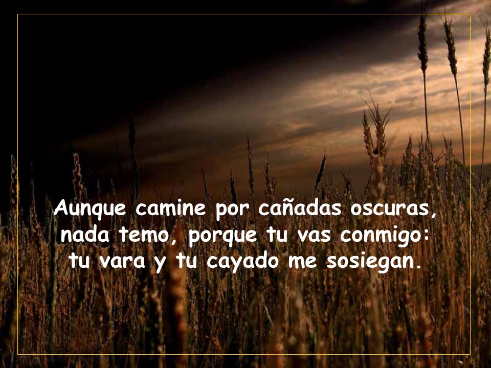 Aunque camine por cañadas oscuras, nada temo, porque tu vas conmigo: tu vara y tu cayado me sosiegan.