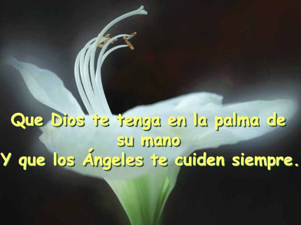 Que Dios te tenga en la palma de su mano