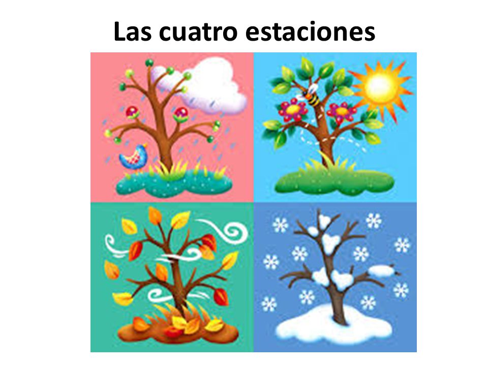 Las cuatro estaciones