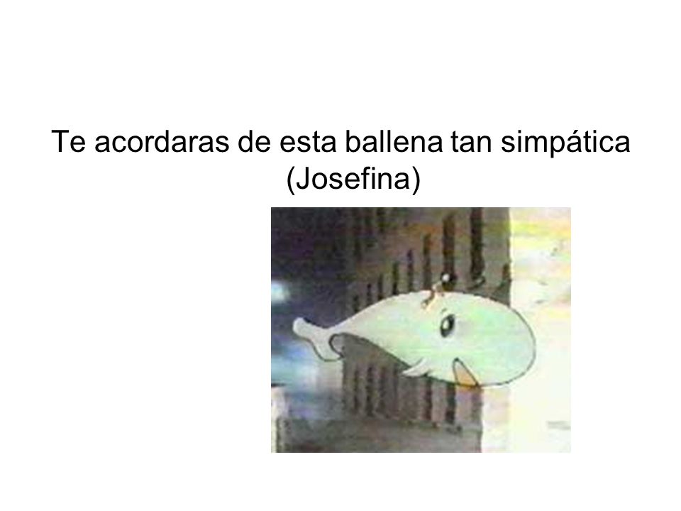 Te acordaras de esta ballena tan simpática (Josefina)