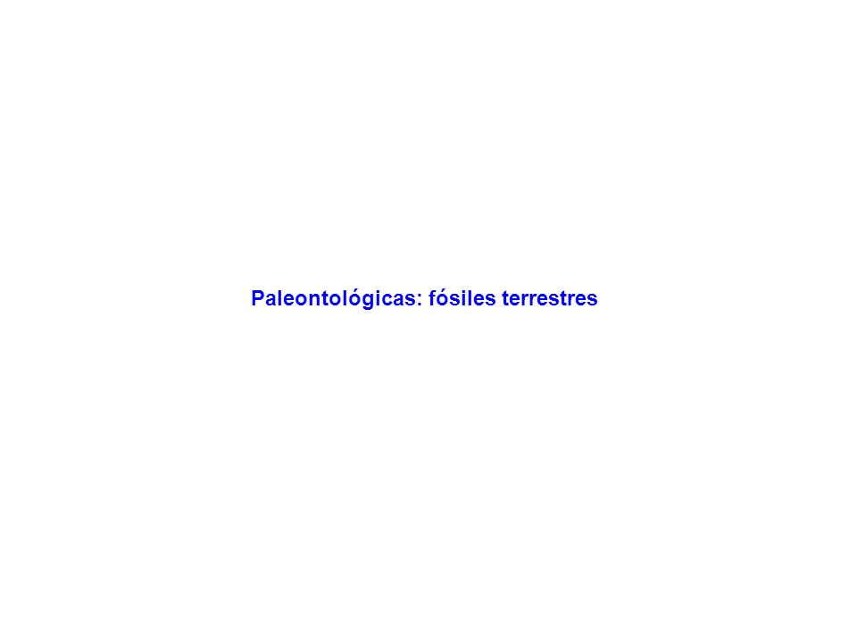 Paleontológicas: fósiles terrestres