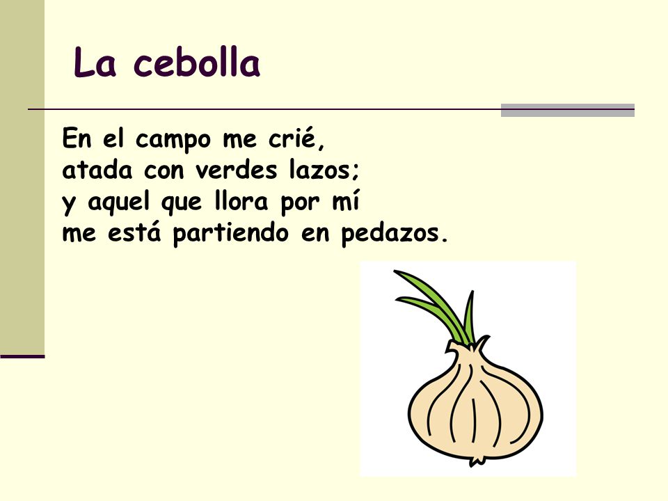 La cebolla En el campo me crié, atada con verdes lazos;