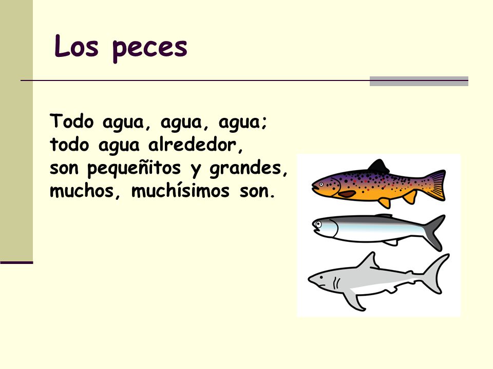 Los peces Todo agua, agua, agua; todo agua alrededor,