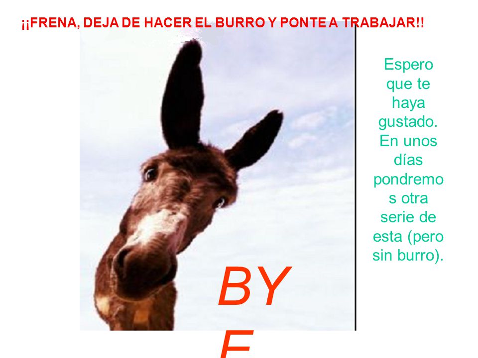 ¡¡FRENA, DEJA DE HACER EL BURRO Y PONTE A TRABAJAR!!