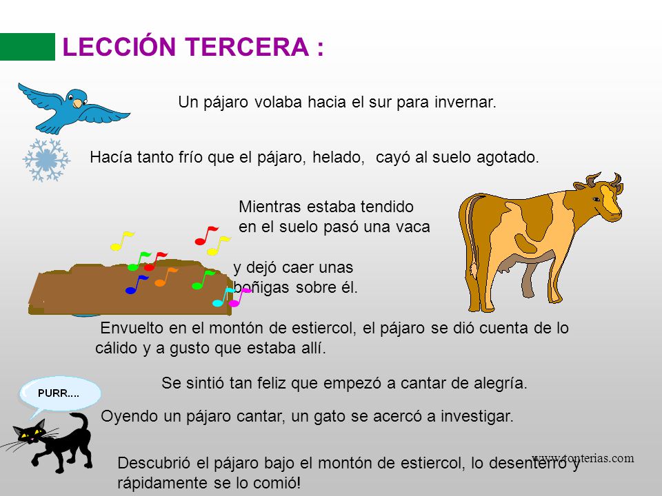 LECCIÓN TERCERA : Un pájaro volaba hacia el sur para invernar.