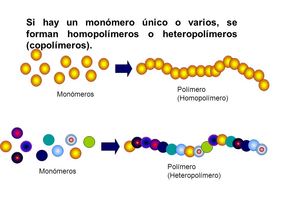 Si hay un monómero único o varios, se forman homopolímeros o heteropolímeros (copolímeros).