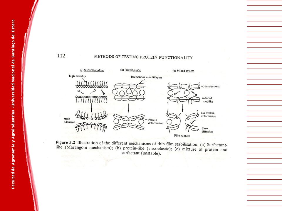 Facultad de Agronomía y Agroindustrias -Universidad Nacional de Santiago del Estero