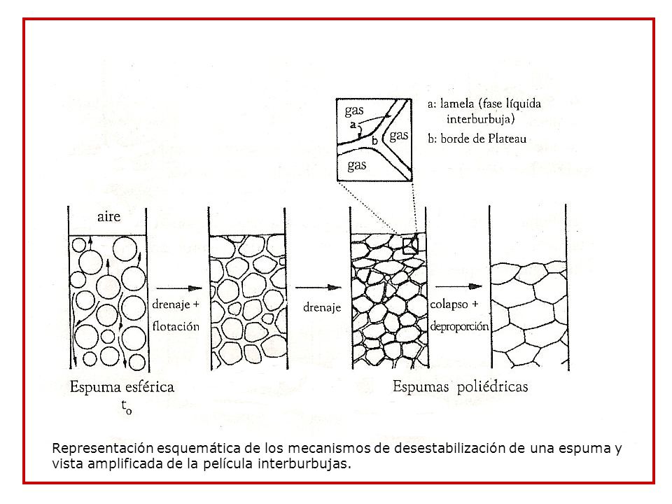 Facultad de Agronomía y Agroindustrias -Universidad Nacional de Santiago del Estero