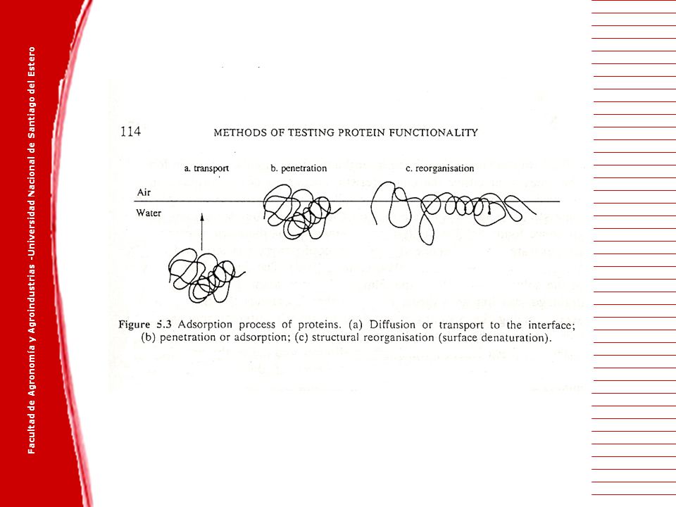 Facultad de Agronomía y Agroindustrias -Universidad Nacional de Santiago del Estero