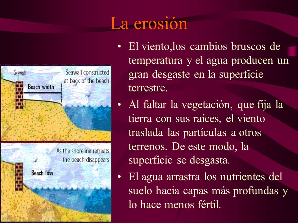 La erosión El viento,los cambios bruscos de temperatura y el agua producen un gran desgaste en la superficie terrestre.