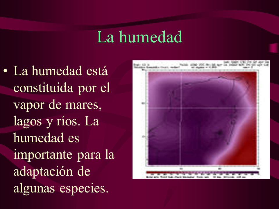 La humedad La humedad está constituida por el vapor de mares, lagos y ríos.