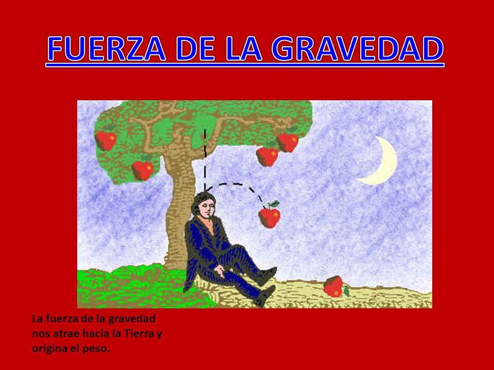 FUERZA DE LA GRAVEDAD La fuerza de la gravedad nos atrae hacia la Tierra y origina el peso.